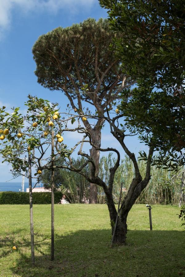 Tre Pini Villa Procida Eksteriør bilde